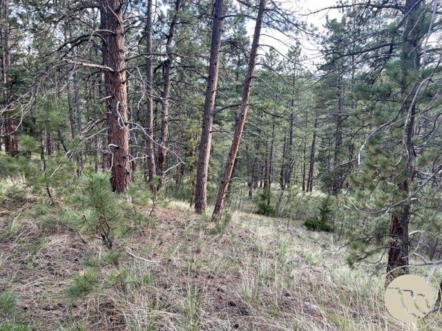Lot 17 Skibstad Road Road Columbus, MT 59019 - Photo 4 of 28 Gallery Image 4