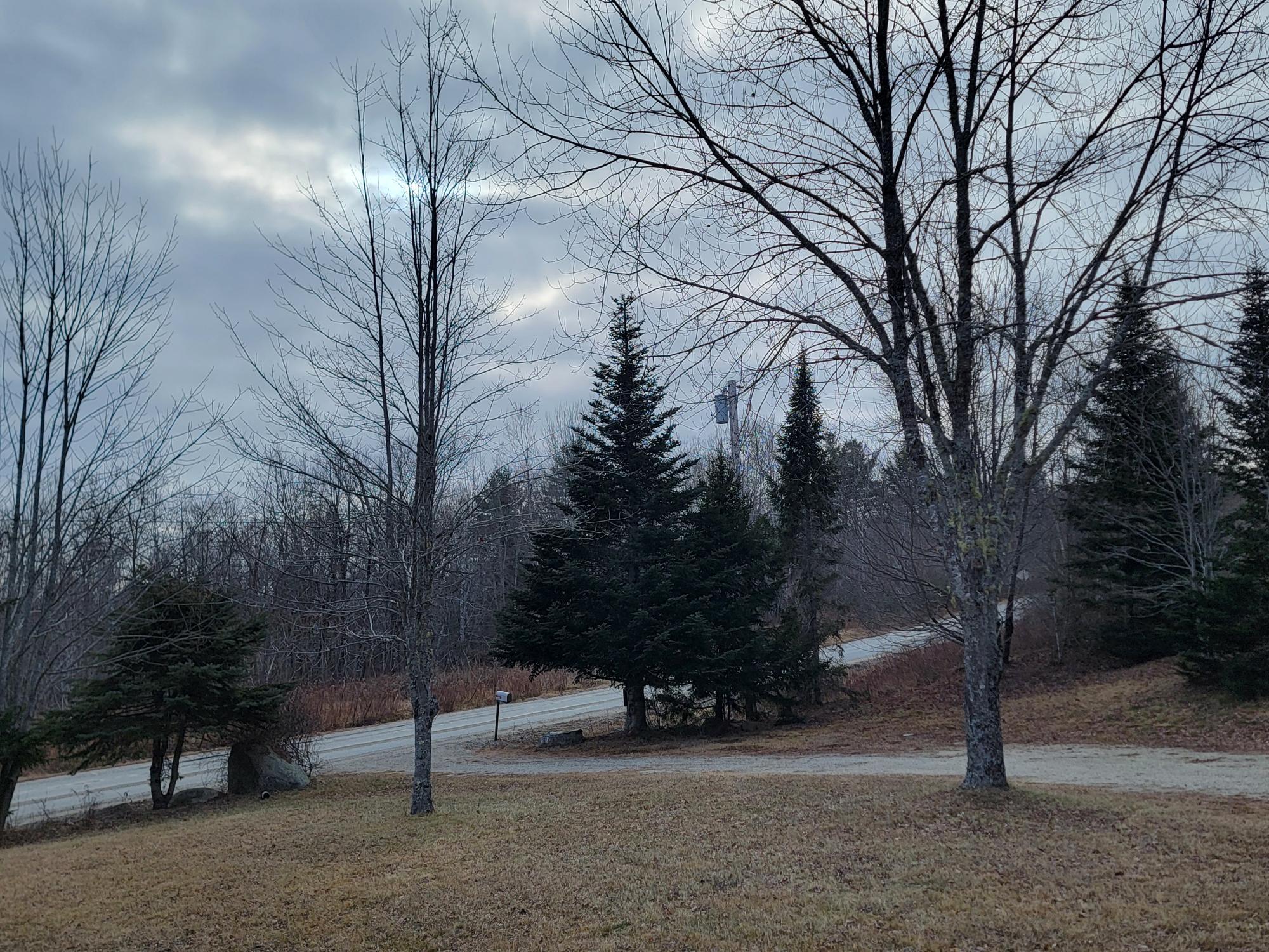 1244 Moore Road Otis, ME 04605 - Photo 14 of 34 Gary Moore/Driveway