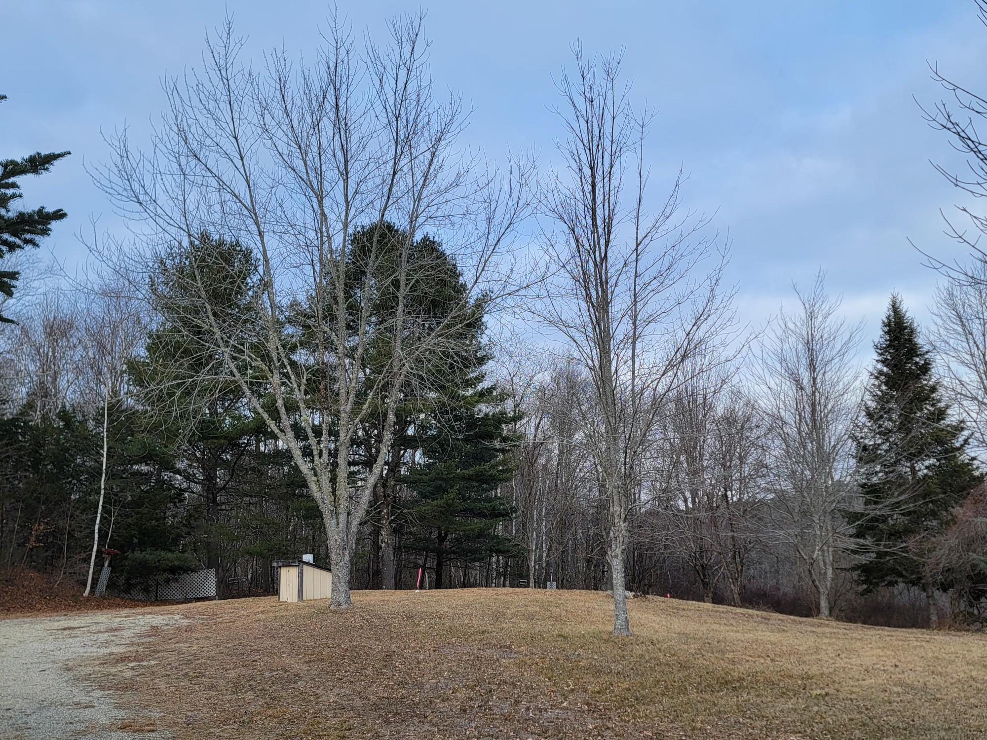 1244 Moore Road Otis, ME 04605 - Photo 16 of 34 1244 Gary Moore Road