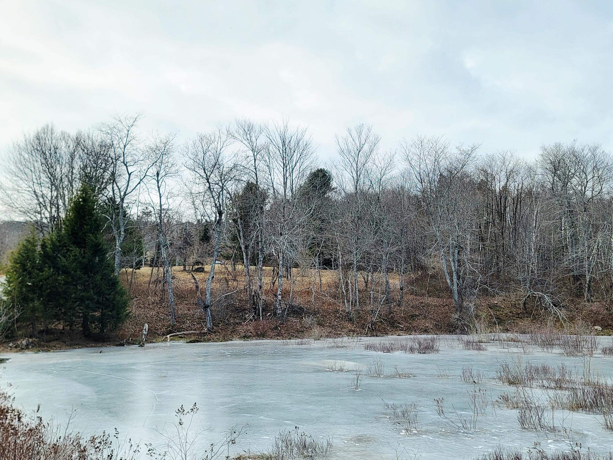 1244 Moore Road Otis, ME 04605 - Photo 18 of 34 Mill Pond