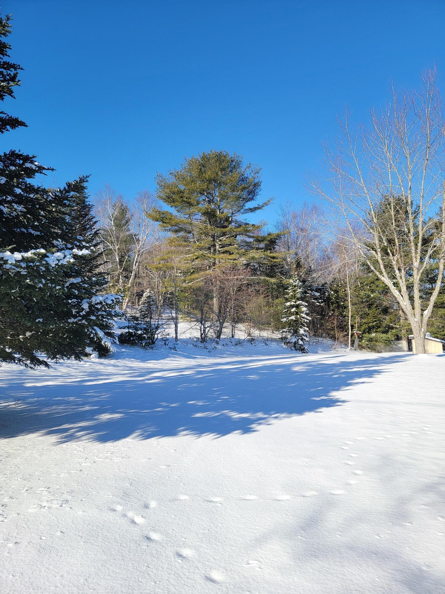 1244 Moore Road Otis, ME 04605 - Photo 20 of 34 1244 Gary Moore Road