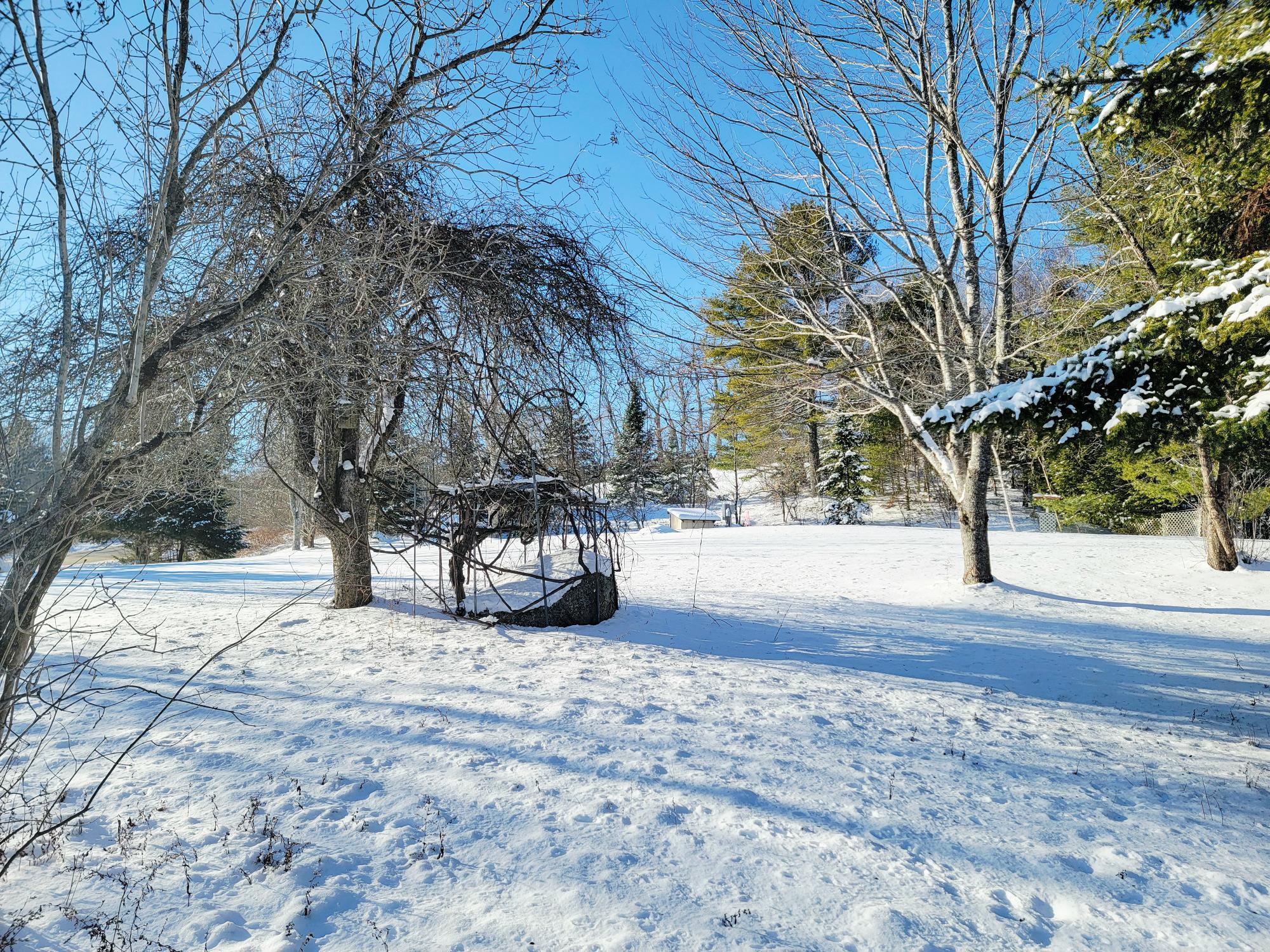 1244 Moore Road Otis, ME 04605 - Photo 26 of 34 Apple & Grapes