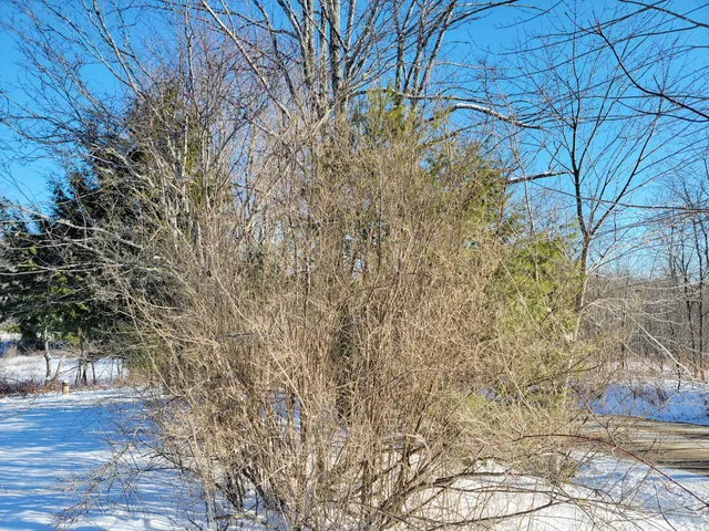 $169,900 | 1244 Moore Road, Otis, ME 04605