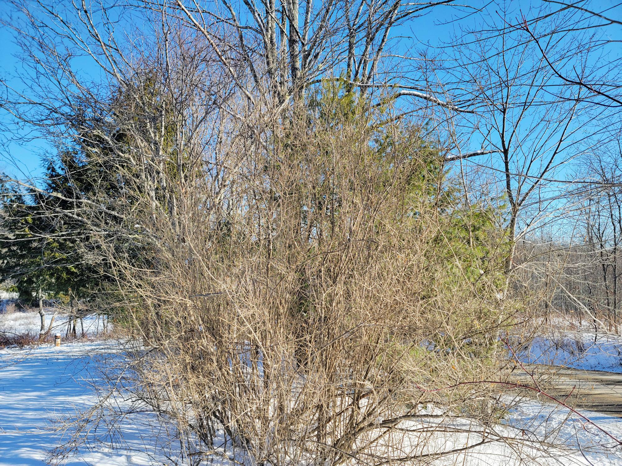 1244 Moore Road Otis, ME 04605 - Photo 28 of 34 20251228_100538