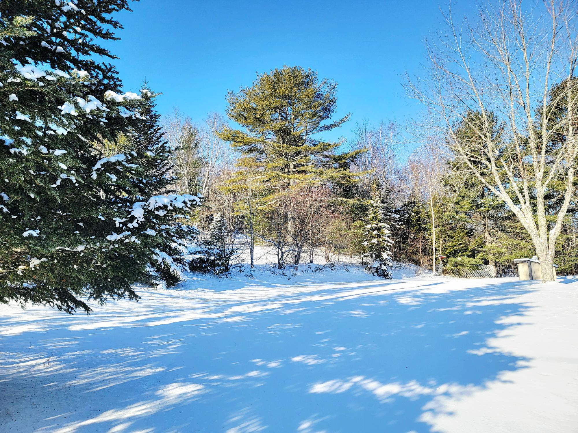 1244 Moore Road Otis, ME 04605 - Photo 31 of 34 1244 Gary Moore Road