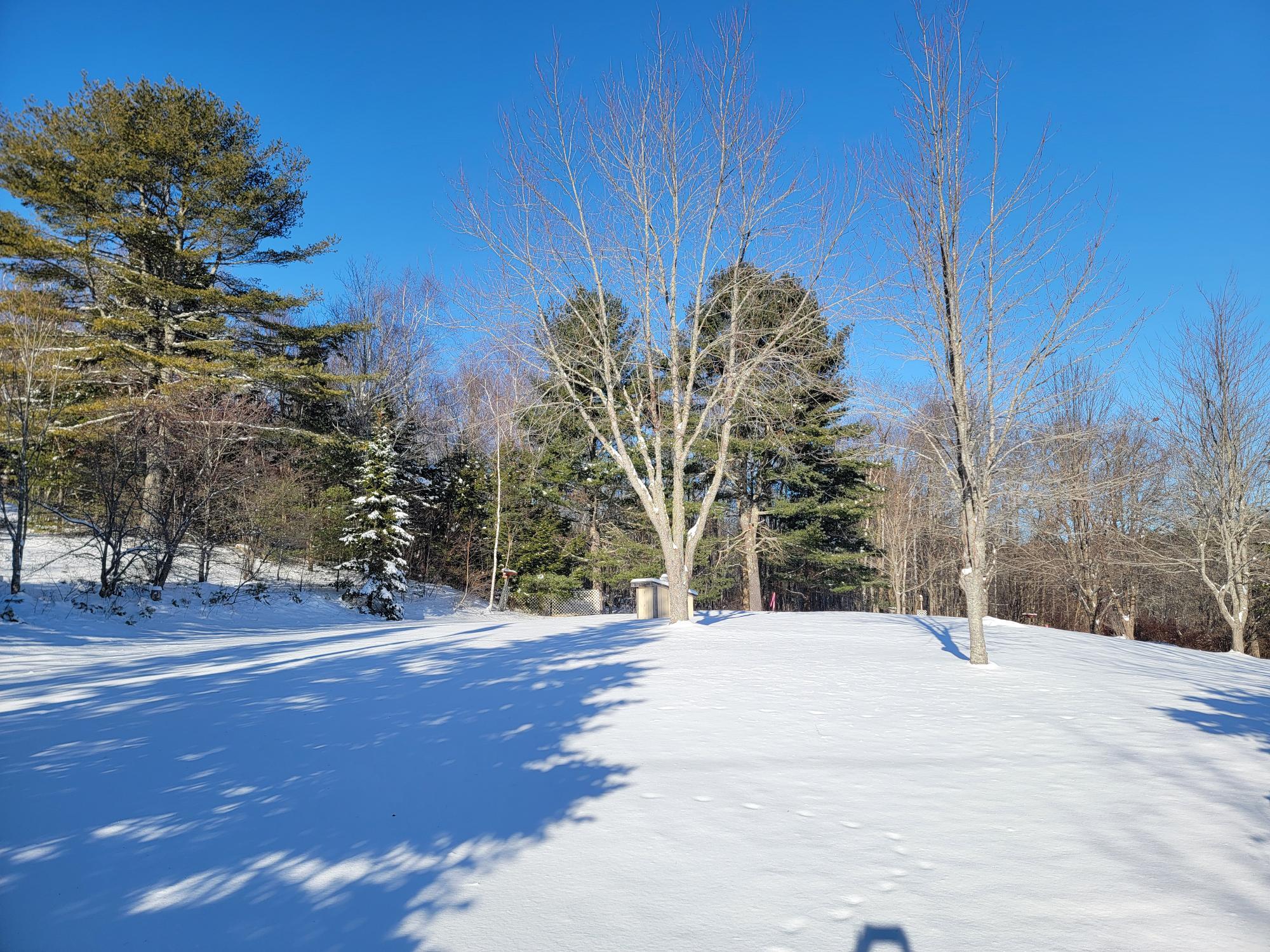 1244 Moore Road Otis, ME 04605 - Photo 32 of 34 1244 Gary Moore Road