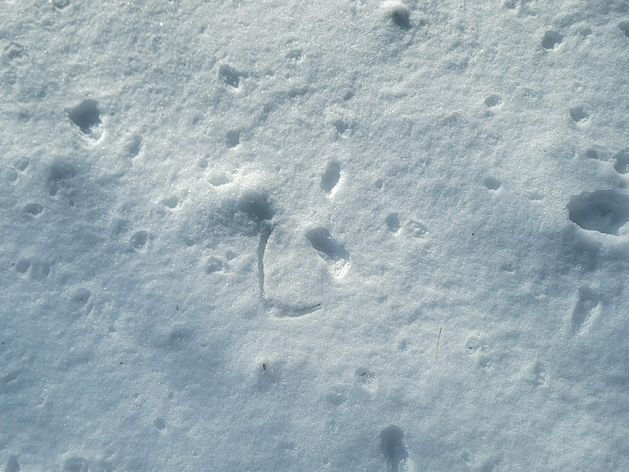 1244 Moore Road Otis, ME 04605 - Photo 34 of 34 1244 Gary Moore Road