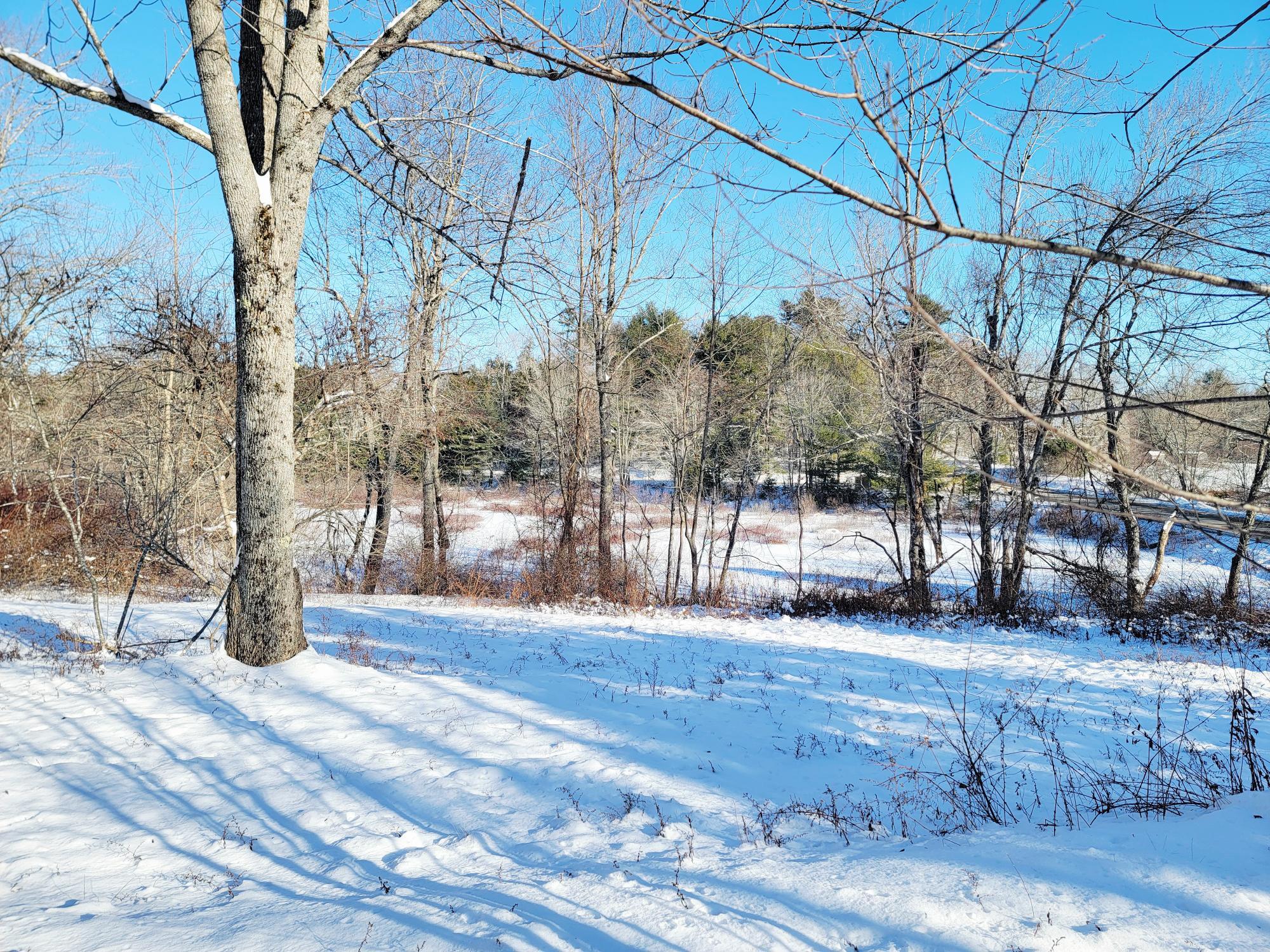 1244 Moore Road Otis, ME 04605 - Photo 4 of 34 Mill Pond