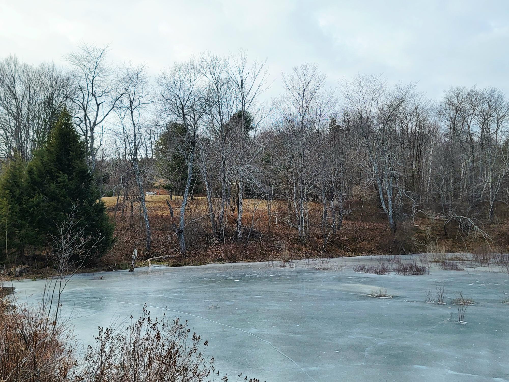 1244 Moore Road Otis, ME 04605 - Photo 5 of 34 Mill Pond