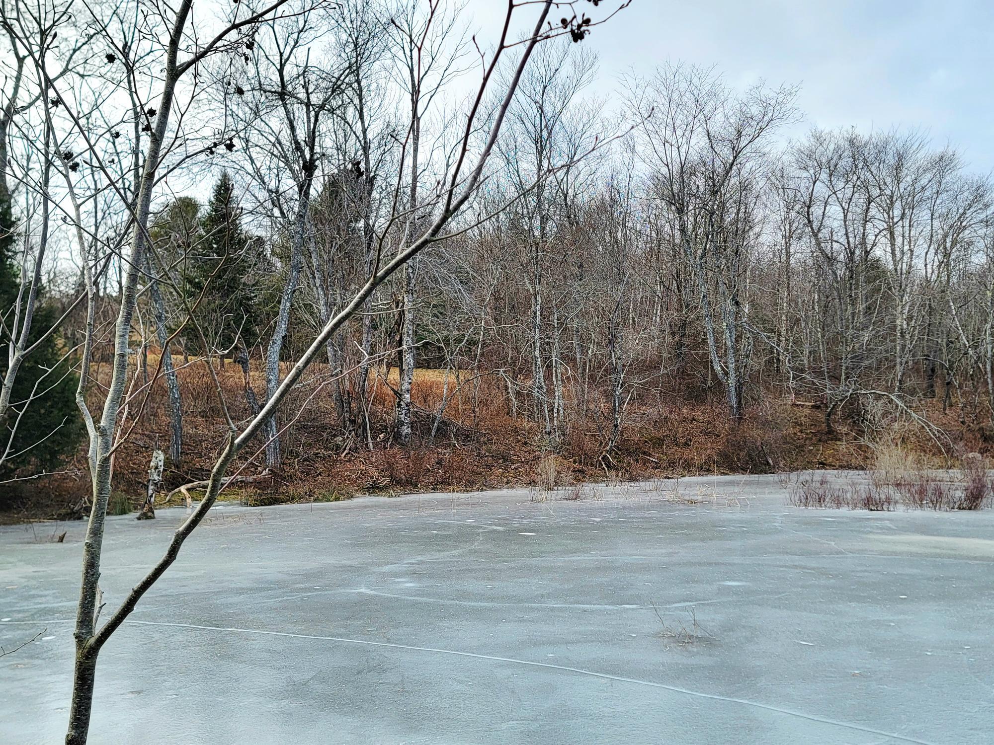 1244 Moore Road Otis, ME 04605 - Photo 6 of 34 Mill Pond