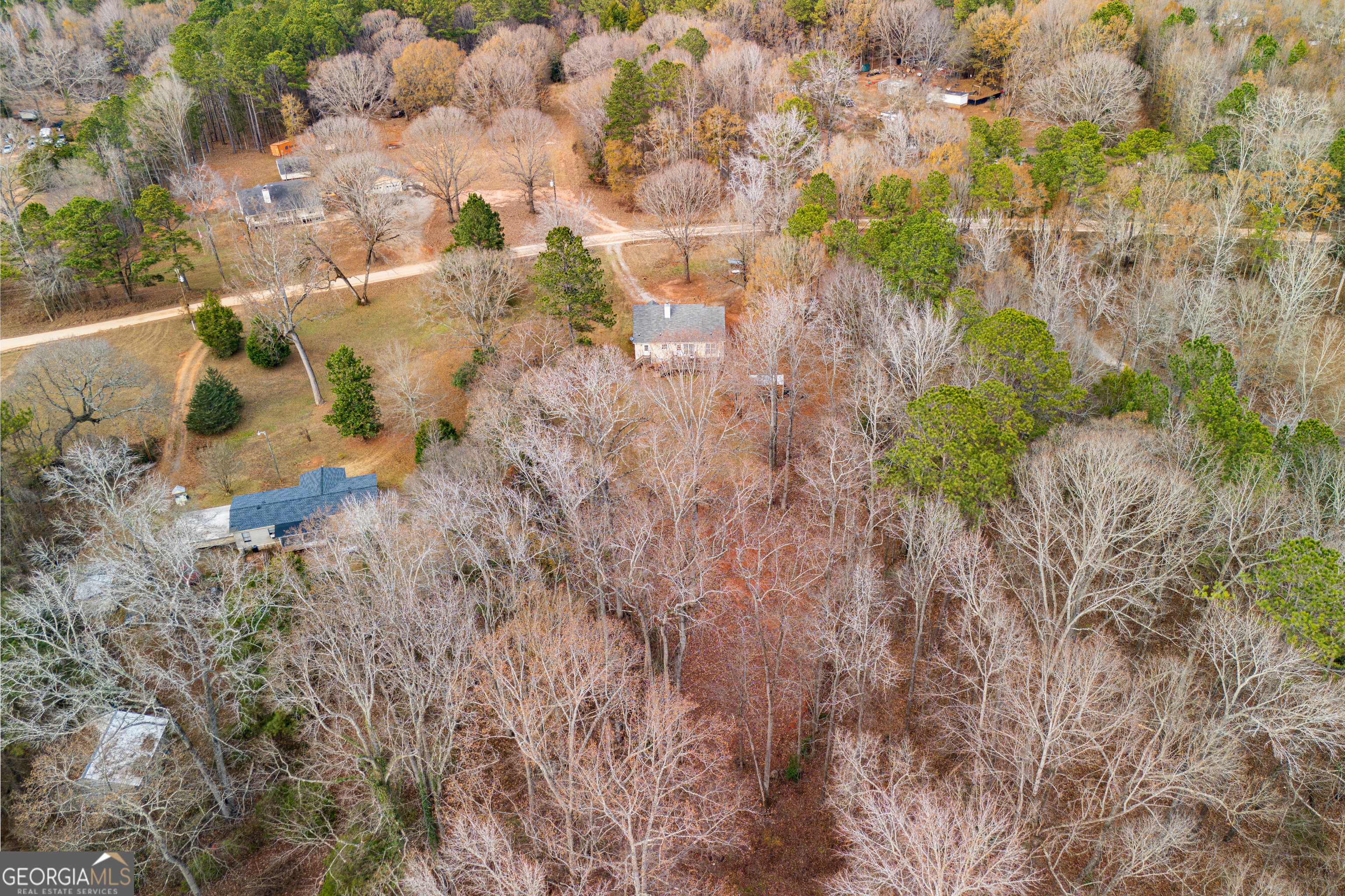 171 Hunter Road Griffin, GA 30224 - Photo 30 of 31 a backyard of a house with lots of green space