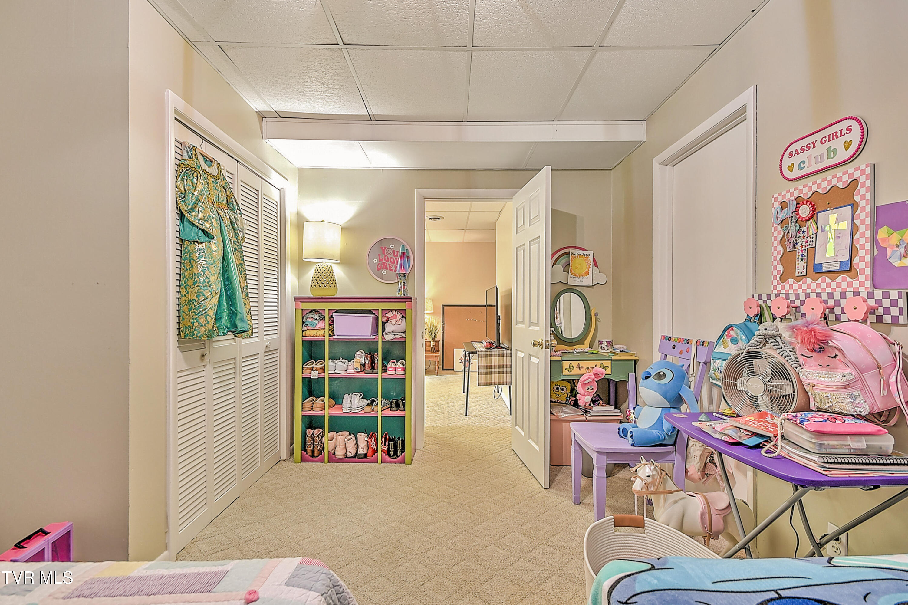 70 Par Lane Greeneville, TN 37743 - Photo 46 of 54 46