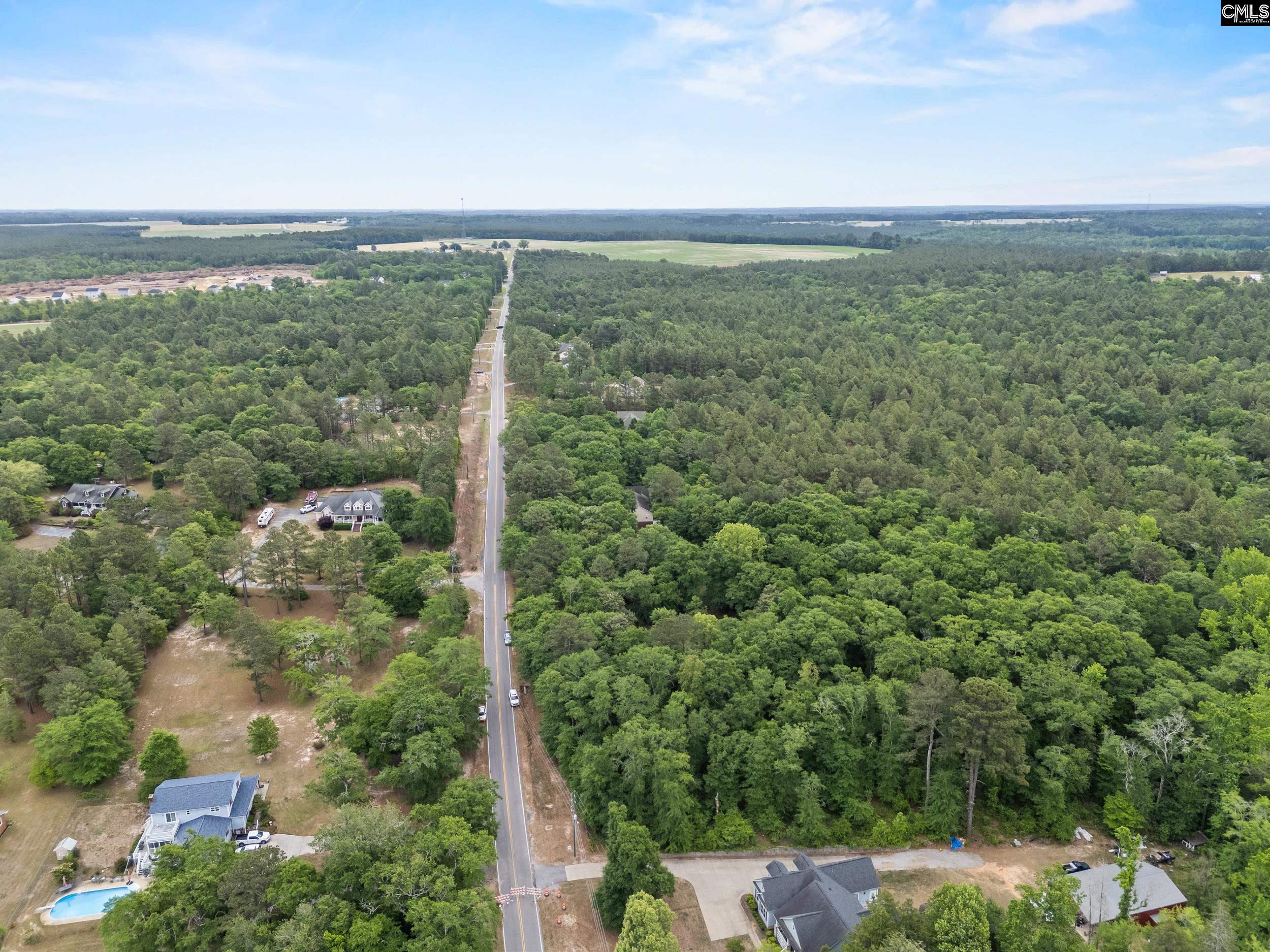 132 Forts Pond Road Pelion, SC 29123 - Photo 53 of 54