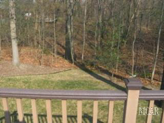 9918 Cemetery Road Erie, MI 48133 - Photo 3 of 20 Wooded Lot