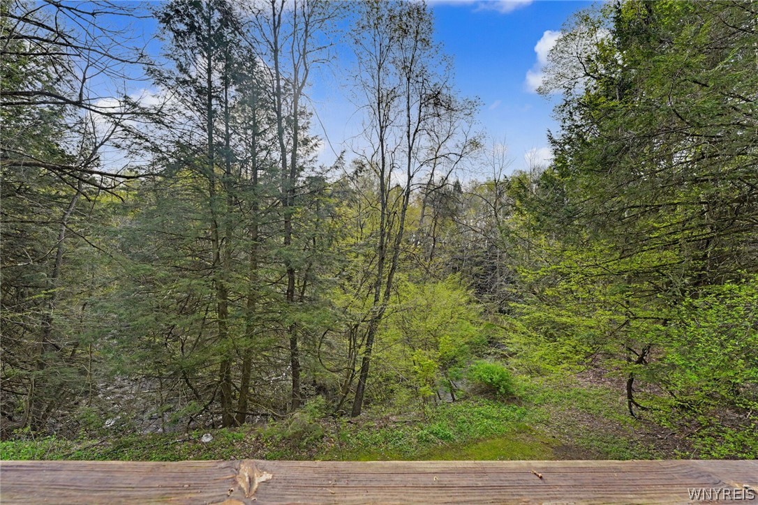 13389 West Schutt Road Sardinia, NY 14030 - Photo 7 of 34 13389 Schutt - wood View -1