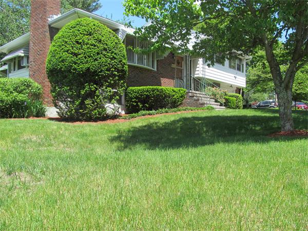 189 Rosemary Road Dedham, MA 02026 - Photo 18 of 21 Gallery Image 18