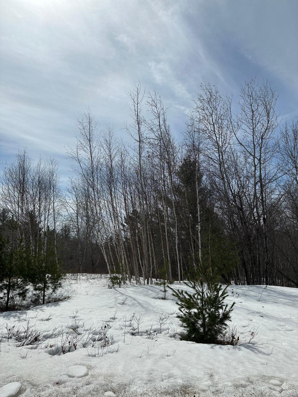 1615 West Wind Drive Rhinelander, WI 54501 - Photo 2 of 3 Gallery Image 2