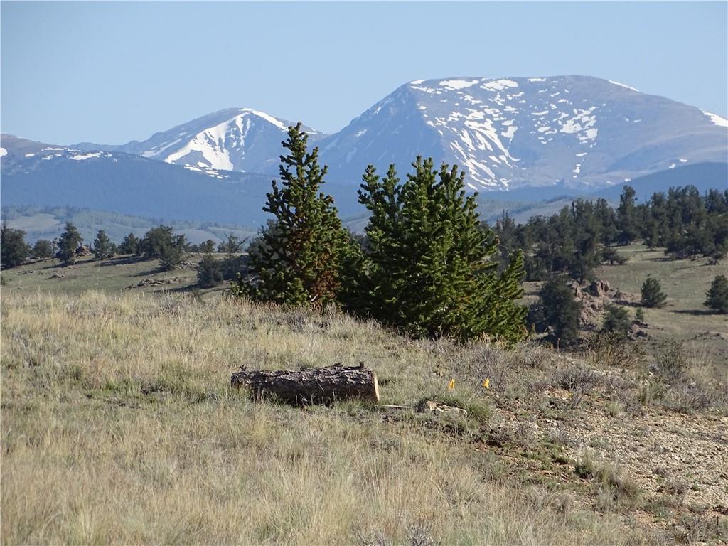 415 Arland Road Como, CO 80432 - Photo 2 of 19 a view of a dry yard with trees