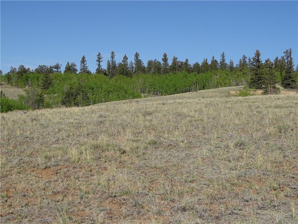 415 Arland Road Como, CO 80432 - Photo 3 of 19 a view of a dry yard with trees