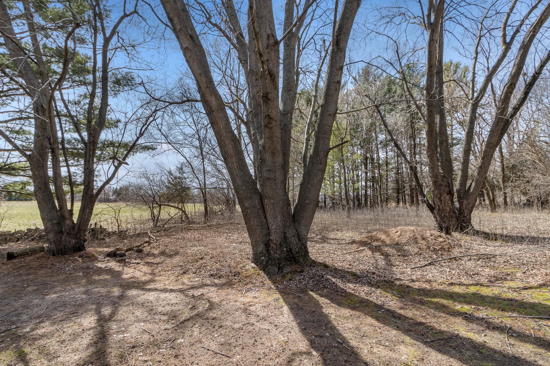 W5097 Highway 16 Rio, WI 53960 - Photo 48 of 63