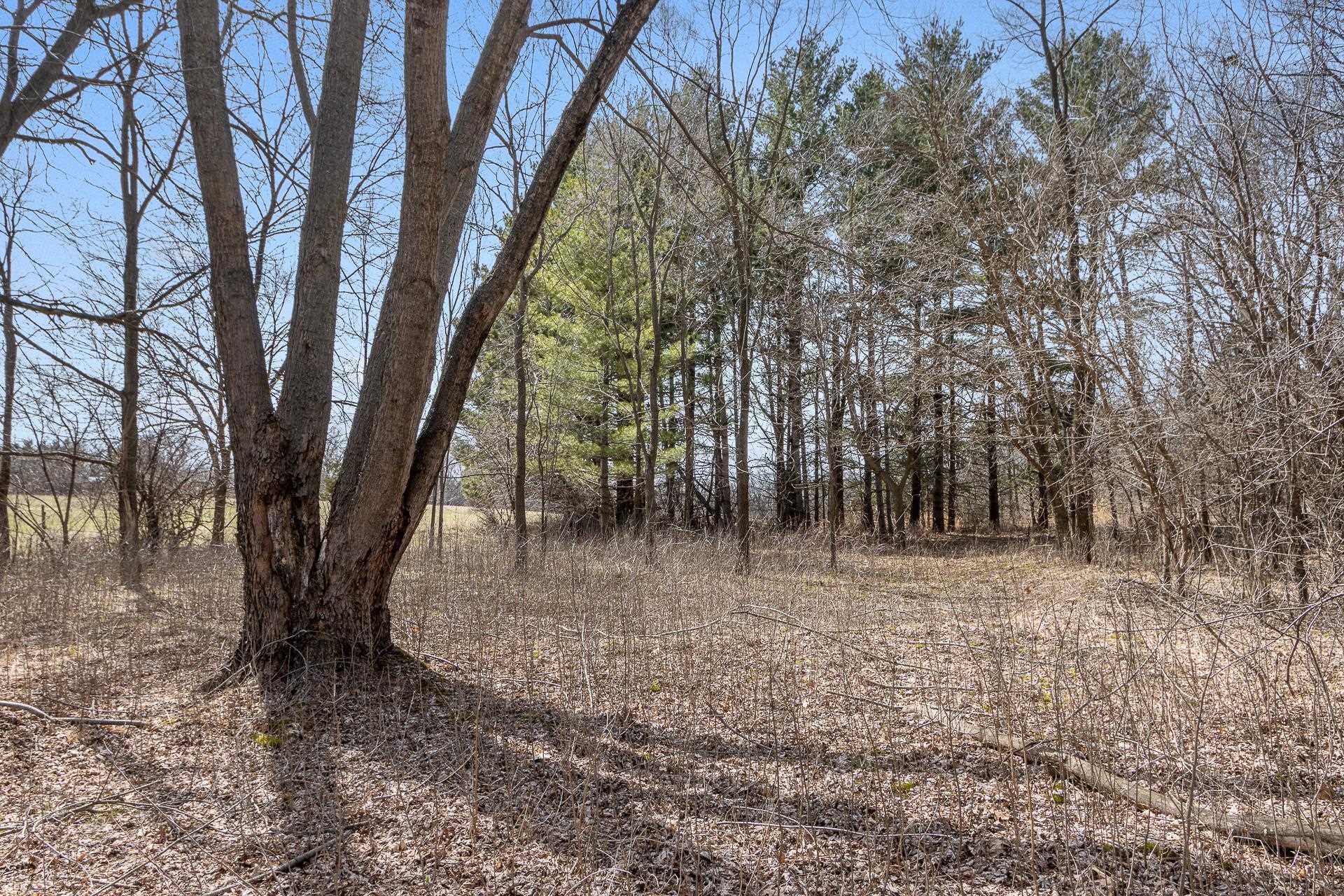 W5097 Highway 16 Rio, WI 53960 - Photo 49 of 63