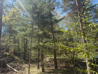 8293 Interlachen Road Lake Shore, MN 56468 - Photo 10 of 10