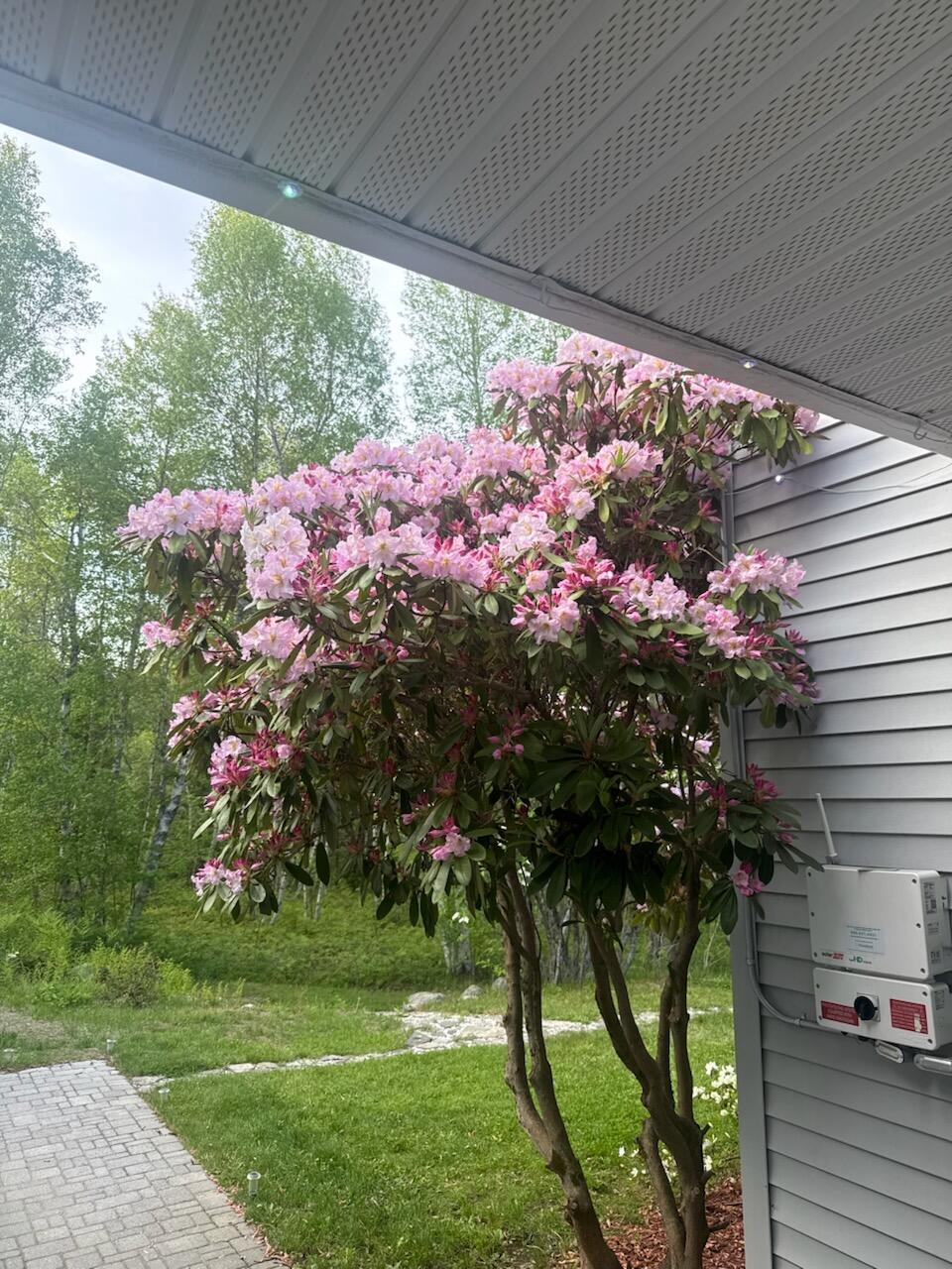 235 Nicolin Road Ellsworth, ME 04605 - Photo 16 of 152 IMG_7350_1782916260311