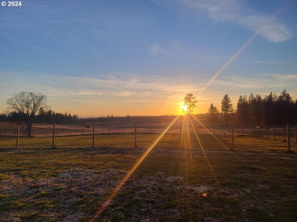 745 Pine Forest Road Goldendale, WA 98620 - Photo 13 of 37 Gallery Image 13