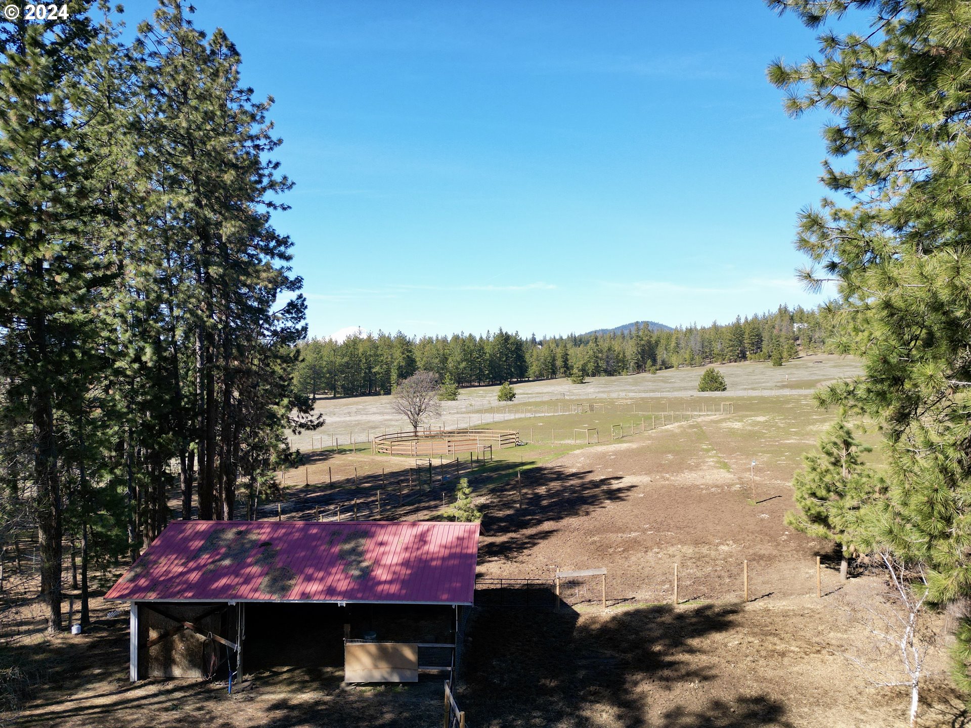 745 Pine Forest Road Goldendale, WA 98620 - Photo 5 of 37 Gallery Image 5