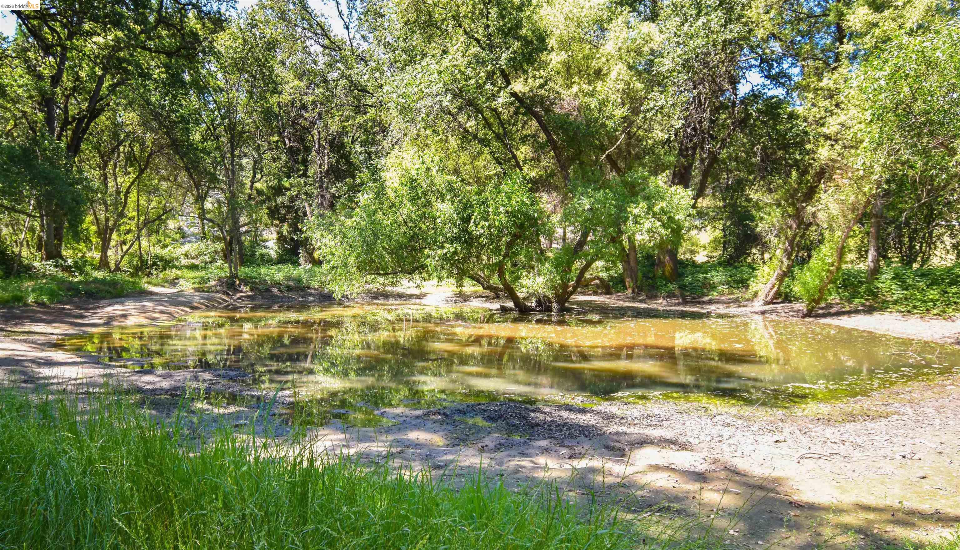 13904 Tuolumne Road Sonora, CA 95370 - Photo 3 of 44 Natural pond feature surrounded by established trees and verdant groundcover