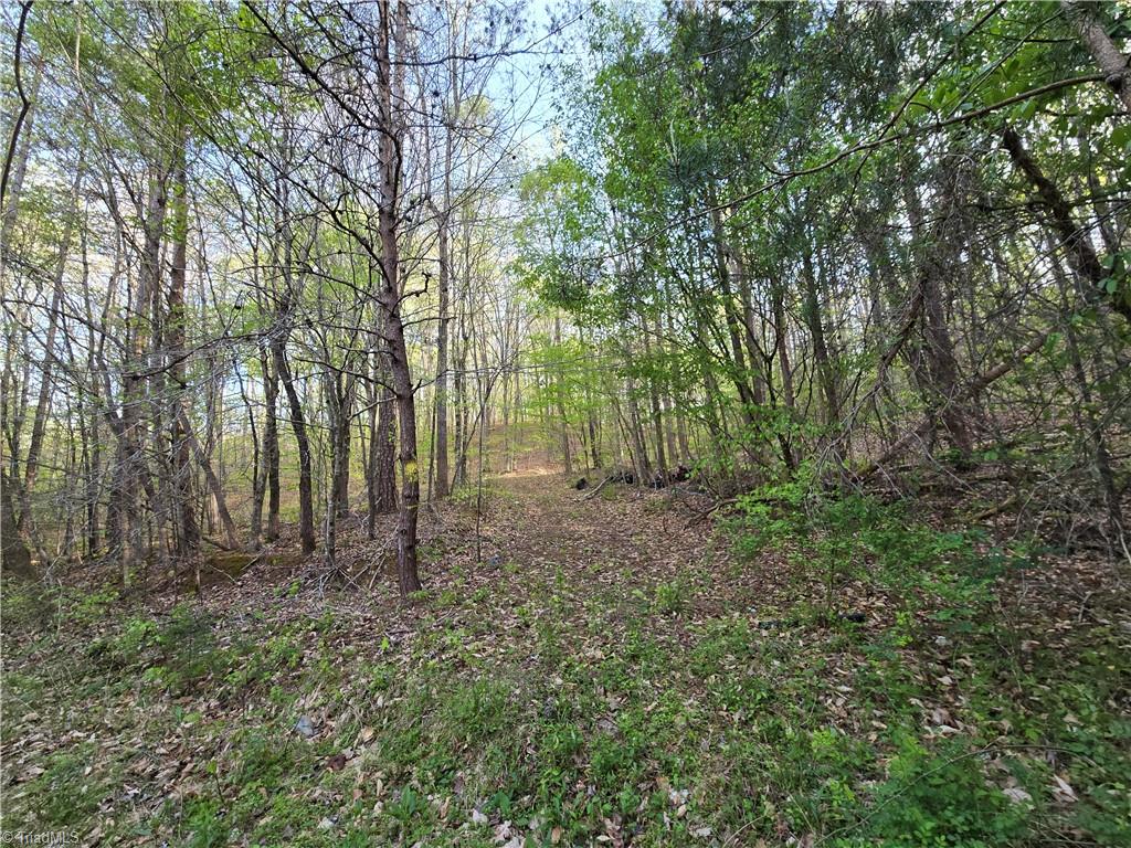 0 Hoover Hill Road Asheboro, NC 27205 - Photo 13 of 29