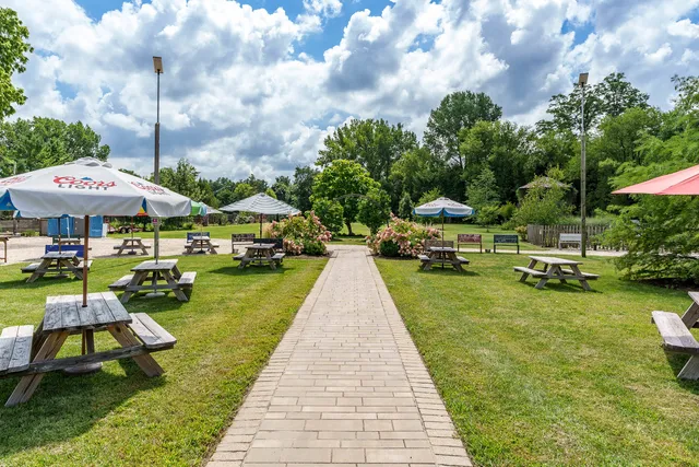 a view of a garden with plants