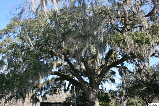 245 Copperwood Loop Conway, SC 29526 - Photo 18 of 24