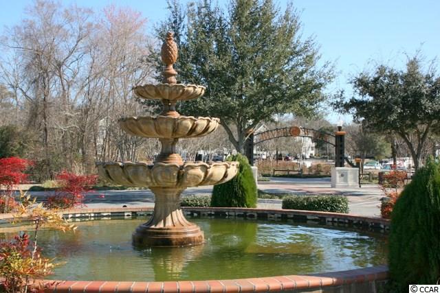 245 Copperwood Loop Conway, SC 29526 - Photo 20 of 24