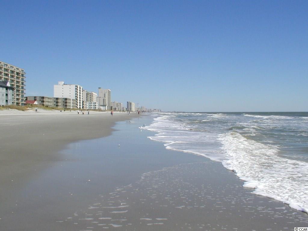 245 Copperwood Loop Conway, SC 29526 - Photo 24 of 24