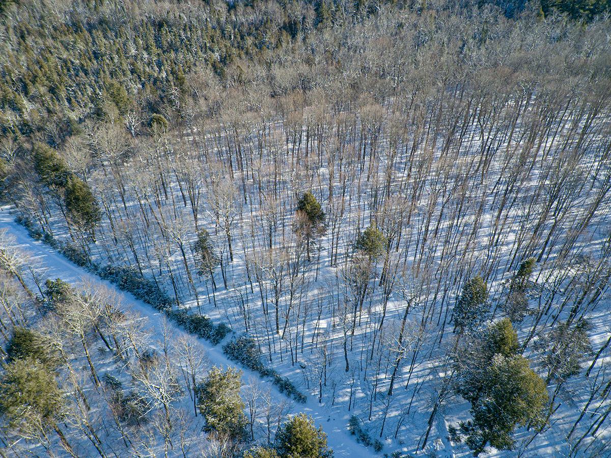 Off Bear Tail Point Phelps, WI 54554 - Photo 4 of 19 Gallery Image 4