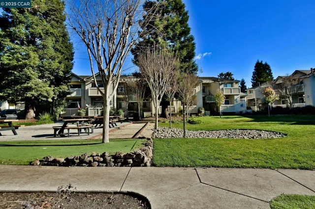 a view of a park with large trees