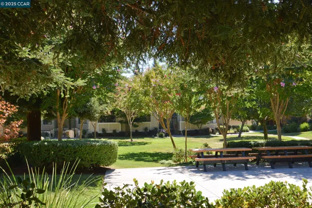 a view of a swimming pool with lawn chairs and plants