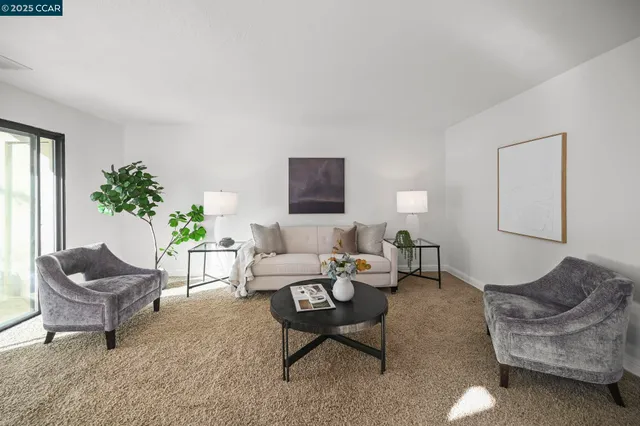 a living room with furniture and a potted plant