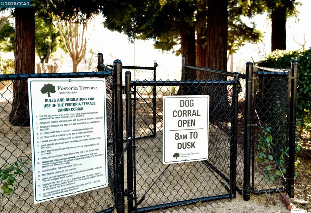 a view of a tree in the middle of a yard