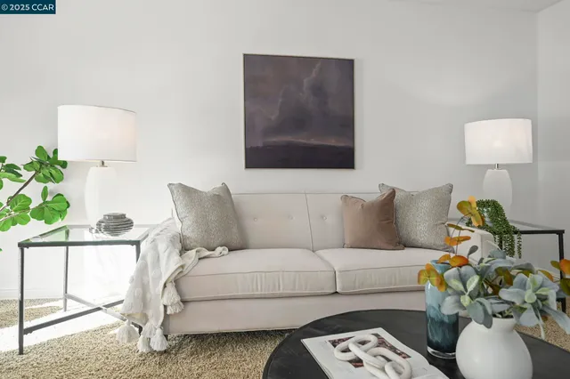 a living room with furniture and a potted plant