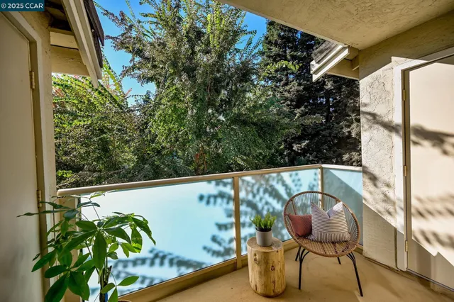 a view of balcony with a potted plant