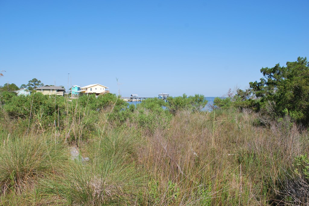 328 Patton Street Eastpoint, FL 32328 - Photo 6 of 8