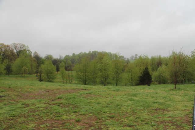 6377 Roy Pearson Road Springfield, TN 37172 - Photo 11 of 12