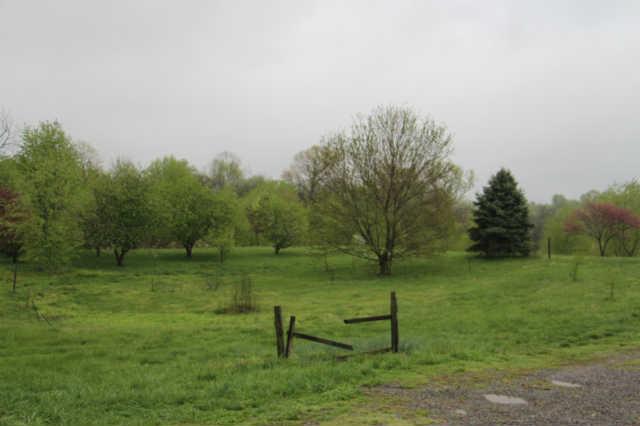 6377 Roy Pearson Road Springfield, TN 37172 - Photo 8 of 12