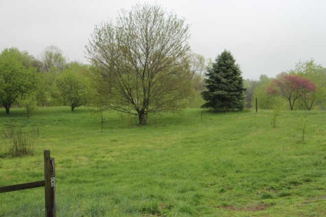 6377 Roy Pearson Road Springfield, TN 37172 - Photo 9 of 12