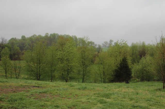 6377 Roy Pearson Road Springfield, TN 37172 - Photo 10 of 12
