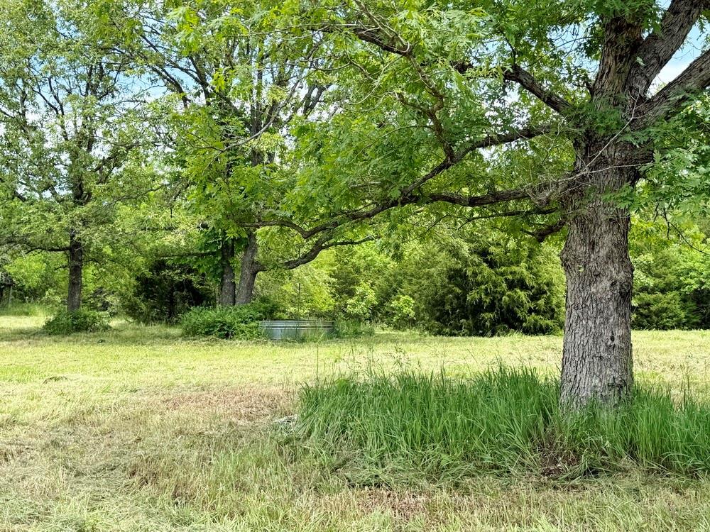 0 Southeast 1150 Road Collins, MO 64738 - Photo 1 of 1 Gallery Image 1