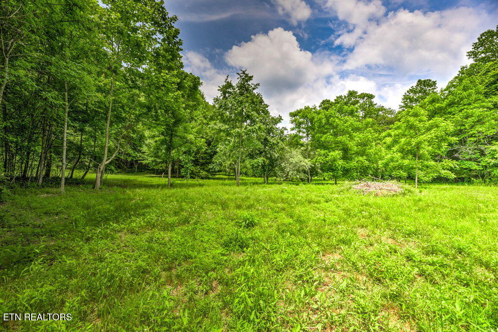 Stone Ridge Drive Andersonville, TN 37705 - Photo 5 of 19 91