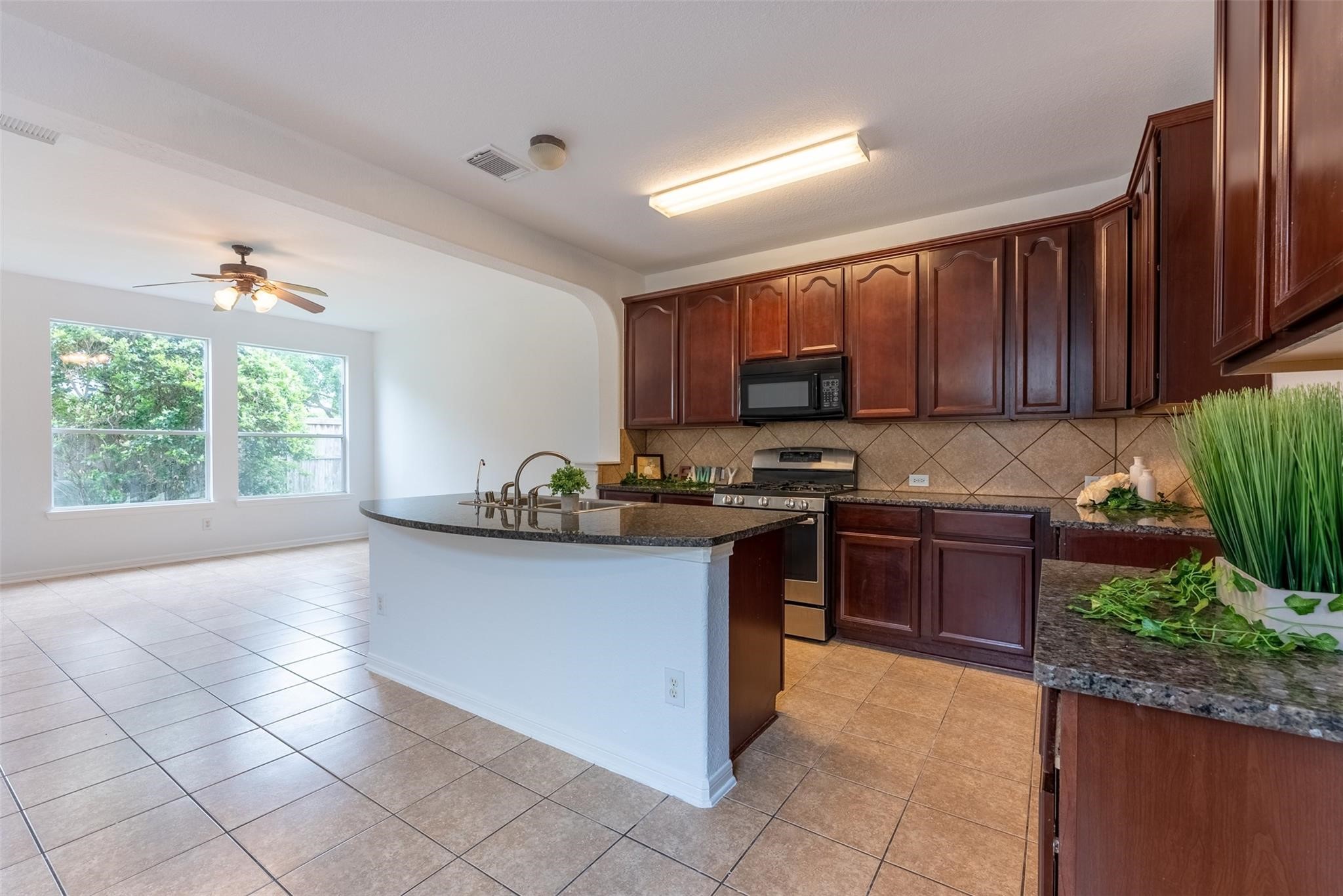 21706 Spring Vine Lane Katy, TX 77450 - Photo 6 of 30